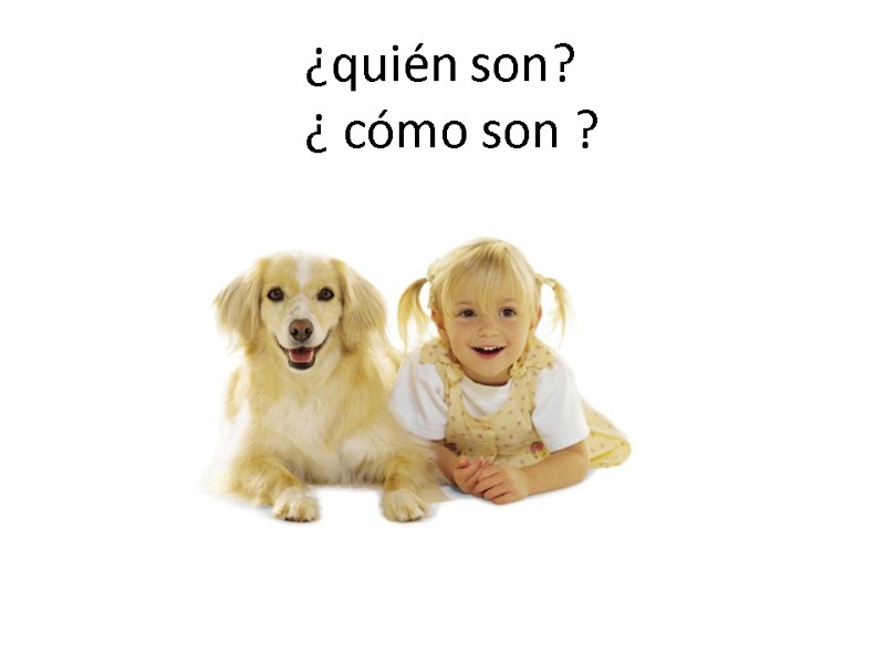 ¿quién son? ¿ cómo son ?